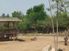 -西安秦岭野生动物园