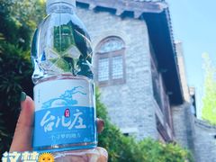 -台儿庄古城