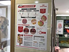 -爱侣·安琦尔宠物医院·中兽医针灸·心内科·狂犬免疫点(宝山区院)