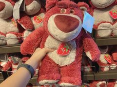 -麦新格精品酒店(上海浦东机场川沙迪士尼店)