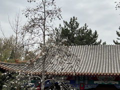 -碑林公园