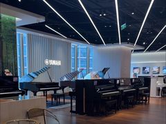 -知音艺术教育培训·钢琴培训·音乐培训(河西金鹰世界校区)