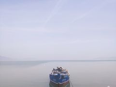 -长岛万鸟岛