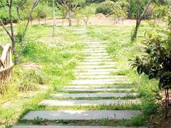 -白马涧龙池景区