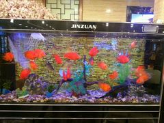 -潮喜竹溪荔湖酒家(荔枝湾店)