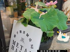 -Metal hands·铁手咖啡