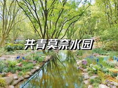 -上海共青森林公园