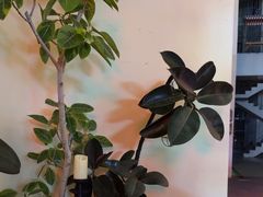 -涟LIAN·泰式按摩·MASSAGE·SPA(深业上城店)