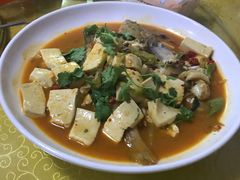 -煲来饱去冷水鱼