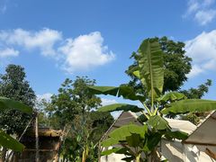 -悦见花开·花园里的火锅·露营·下午茶