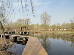 -东郊湿地公园