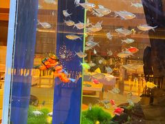 -大江户·温泉洗浴(浑南店)