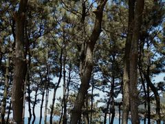 -刘公岛景区