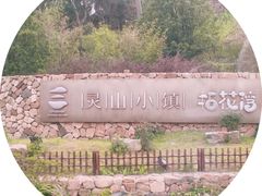 -灵福缘私房菜·农家菜(拈花湾·灵山大佛必推店)