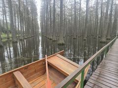 -渌洋湖湿地公园