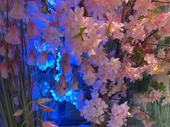 -野妹火锅(龙岗店)