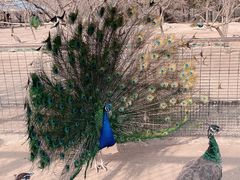 -宿豫区运河湾森林动物园