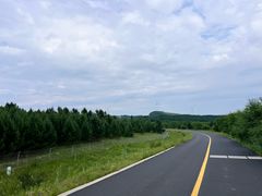 -御道口草原森林风景区