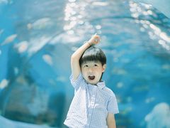 -合肥海洋世界