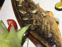烤青花鱼-东岸料理·寿司·刺身