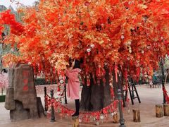 -郑州方特梦幻王国