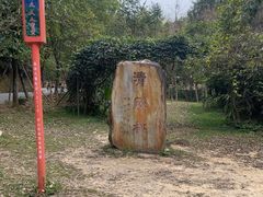 -田心森林公园