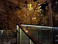 -丽晶大班SPA(大沽店)