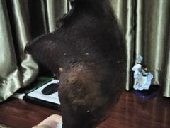 -张鸭子重庆特产卤味小吃(未来国际店)