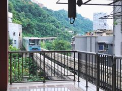 -李子坝梁山鸡(李子坝大鸡哥店)