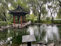 -百脉泉景区
