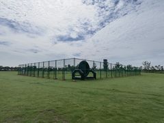 -春花秋色城市公园