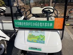 -盐城丹顶鹤湿地生态旅游区