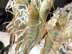 -海月轩海鲜豆捞(紫金塔店)