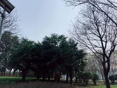 -洨河生态公园