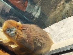 -宁波野生动物园