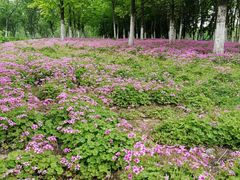 景点-白塘生态植物园