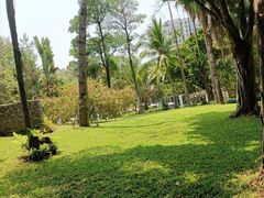 -深圳国际园林花卉博览园