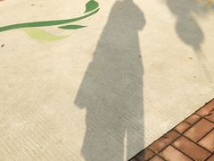 -广州长隆飞鸟乐园