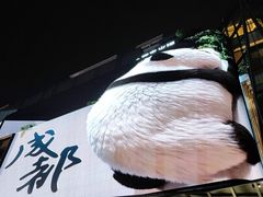 -合景·悠方(成都店)