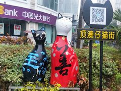 -猫咪博物馆(顶澳仔猫街店)