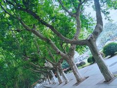 -江苏科技大学(梦溪校区)
