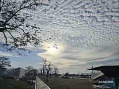 -芒洲湿地公园