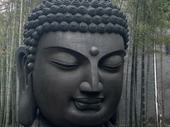 -杭州植物园