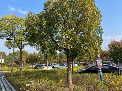 -狼山风景名胜区