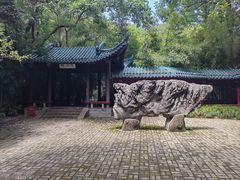 -赭山公园