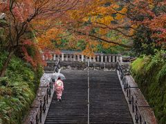 -有栖山 清光院 清水寺