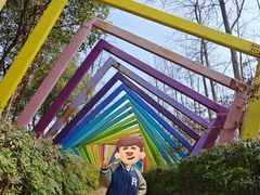 -合肥滨湖国家森林公园