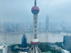 -金轩中餐厅 Jin Xuan(浦东丽思卡尔顿酒店)
