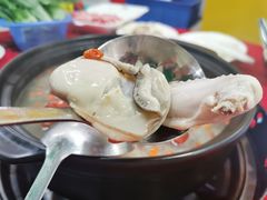 -花苑美食横琴生蚝火锅(拱北粤华路店)