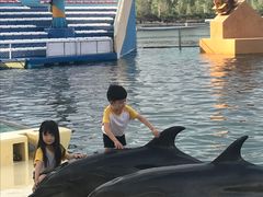 -秦皇岛乐岛海洋王国